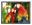 Picture of Screen Labs Rollerwall 84" Screen 1:1 106060