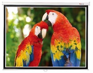 Picture of Screen Labs Rollerwall 120" Screen 4:3 10120D