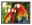 Picture of Screen Labs Rollerwall 80" Screen 16:10 1084D